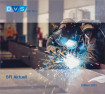 SFI-Aktuell 2021 auf USB-Stick